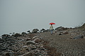 DSC09440 - Bernhard Saalfeld