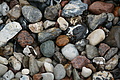DSC09442 - Bernhard Saalfeld