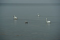 DSC09444 - Bernhard Saalfeld