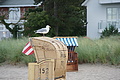 DSC09449 - Bernhard Saalfeld