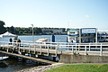 DSC09466 - Bernhard Saalfeld