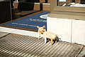 DSC09473 - Bernhard Saalfeld