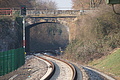 DSC01409 - Bernhard Saalfeld
