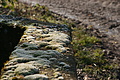 DSC01420 - Bernhard Saalfeld