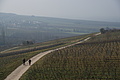 DSC01421 - Bernhard Saalfeld