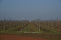 DSC01437 - Bernhard Saalfeld