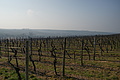 DSC01438 - Bernhard Saalfeld