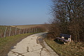 DSC01440 - Bernhard Saalfeld