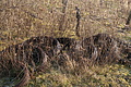 DSC01442 - Bernhard Saalfeld