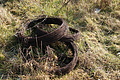 DSC01443 - Bernhard Saalfeld