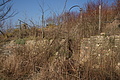 DSC01444 - Bernhard Saalfeld