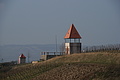 DSC01459 - Bernhard Saalfeld