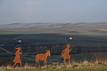 DSC01464 - Bernhard Saalfeld