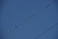 DSC01469 - Bernhard Saalfeld