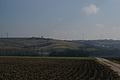 DSC01472 - Bernhard Saalfeld