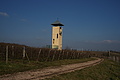 DSC01496 - Bernhard Saalfeld