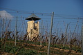 DSC01499 - Bernhard Saalfeld