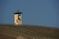 DSC01501 - Bernhard Saalfeld