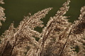 DSC01503 - Bernhard Saalfeld