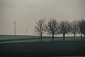 DSC01504 - Bernhard Saalfeld