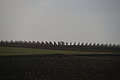 DSC01506 - Bernhard Saalfeld