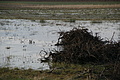 DSC01507 - Bernhard Saalfeld