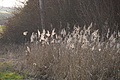 DSC01510 - Bernhard Saalfeld
