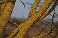 DSC01512 - Bernhard Saalfeld