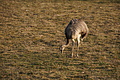 DSC01514 - Bernhard Saalfeld