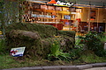 DSC01591 - Bernhard Saalfeld