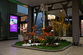 DSC01592 - Bernhard Saalfeld