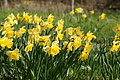 DSC01612 - Bernhard Saalfeld