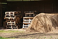 DSC01613 - Bernhard Saalfeld