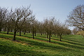 DSC01620 - Bernhard Saalfeld