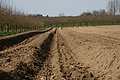 DSC01622 - Bernhard Saalfeld