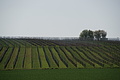DSC01624 - Bernhard Saalfeld
