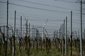 DSC01627 - Bernhard Saalfeld