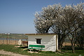 DSC01629 - Bernhard Saalfeld