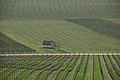 DSC01643 - Bernhard Saalfeld
