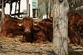 DSC01650 - Bernhard Saalfeld