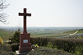 DSC01651 - Bernhard Saalfeld