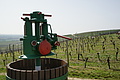 DSC01652 - Bernhard Saalfeld