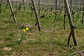 DSC01653 - Bernhard Saalfeld