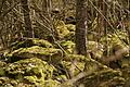 DSC01654 - Bernhard Saalfeld