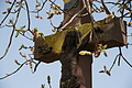 DSC01658 - Bernhard Saalfeld