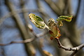 DSC01659 - Bernhard Saalfeld