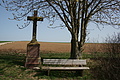 DSC01660 - Bernhard Saalfeld
