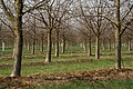 DSC01665 - Bernhard Saalfeld