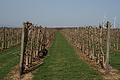 DSC01666 - Bernhard Saalfeld