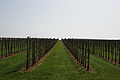 DSC01668 - Bernhard Saalfeld